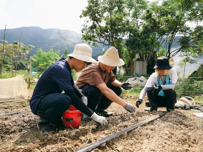 University students on a farm