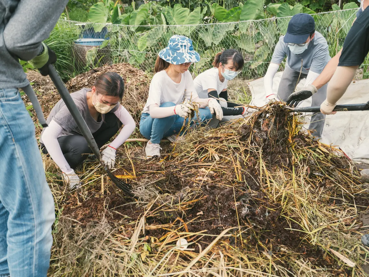 義工喺農田一齊處理堆肥